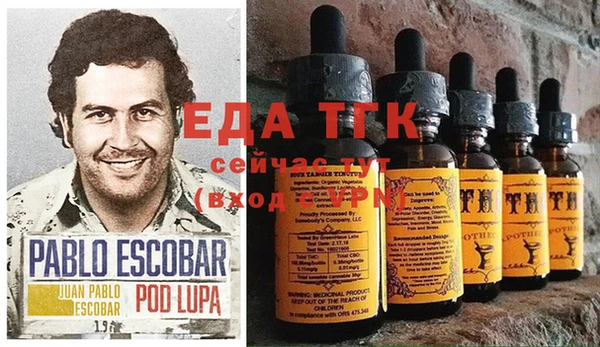 хмурый Алзамай
